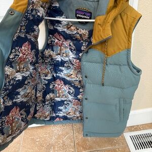 Patagonia Bivy Down Vest